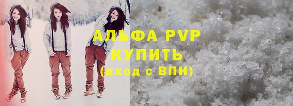 индика Алексин