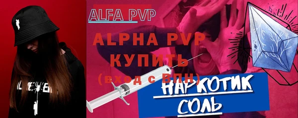 индика Алексин