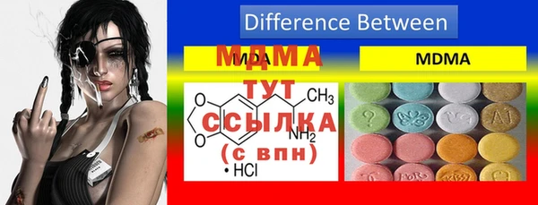 индика Алексин
