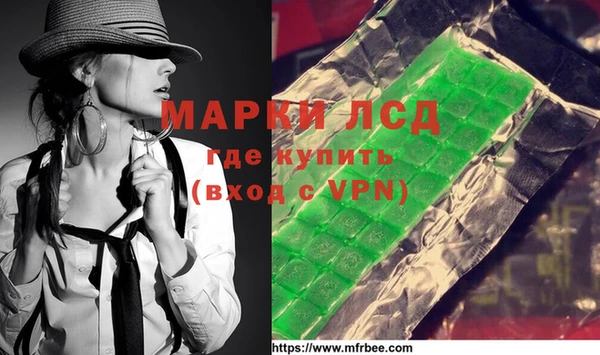 индика Алексин