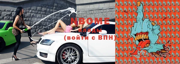 индика Алексин