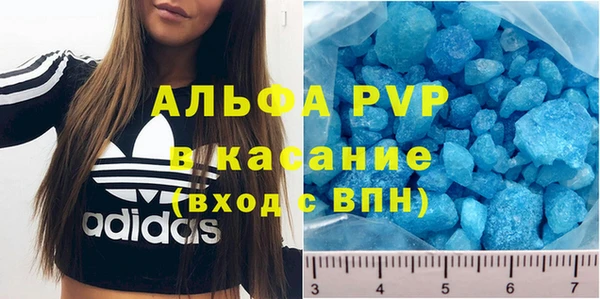 индика Алексин