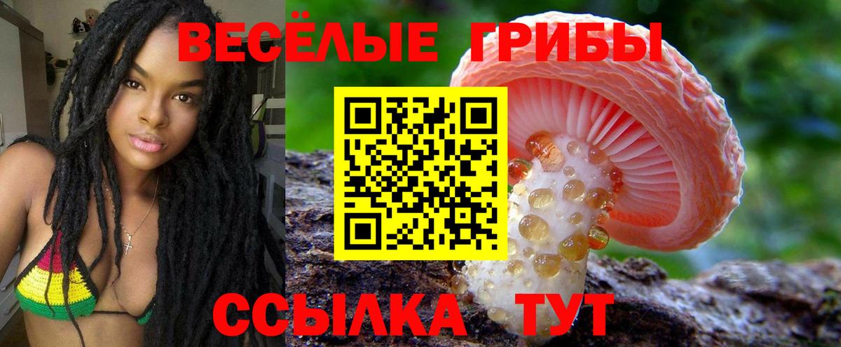 Дзержинский  Псилоцибиновые грибы Psilocybine cubensis  Галлюциногенные грибы ЛСД  Вход с VPN 